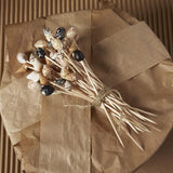 TC - Sea Fare Shell Picks | 40ct
