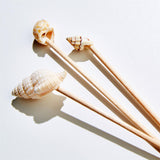 TC - Sea Fare Shell Picks | 40ct