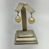 South Sea Pearl Earrings w/ 14K Huggy
