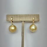 South Sea Pearl Earrings w/ 14K Huggy