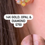 Earrings | 14K Gold, Diamond, Opal Flower