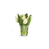 NH - Dutch Tulip in Vase | 7.5"