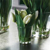 NH - Dutch Tulip in Vase | 7.5"