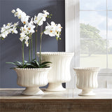 NH - Phalaenopsis Bowl Drop-In | 31.5"