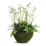 NH - Phalaenopsis & Fern Drop-In | 21"
