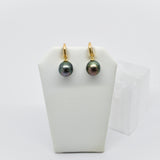 Tahitian Pearl Earrings w/ 14K Huggy