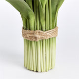 NH - Peony Tulip Bundle Drop-In | 23.5"