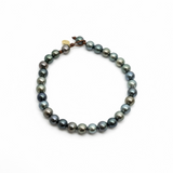 Classic w/ Tahitian Pearls Choker | 16"