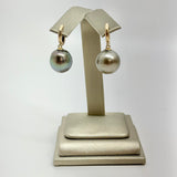 Tahitian Pearl Earrings w/ 14K Huggy