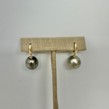 Tahitian Pearl Earrings w/ 14K Huggy