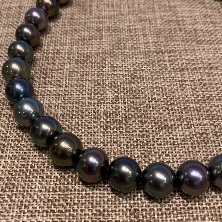 Choker | Classic Style w/ Tahitian Pearls | 15”
