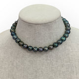 Choker | Classic Style w/ Tahitian Pearls | 15”