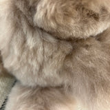 LT - Teddybear Plushy | Taupe