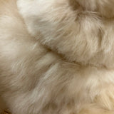 LT - Teddybear Plushy | Champagne