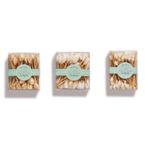 TC - Seashell Hors D'Oeuvre Pick in Gift Box