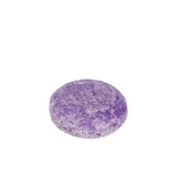 Shampoo Bar | Oasis