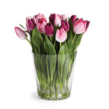 NH - Dutch Tulips in Vase