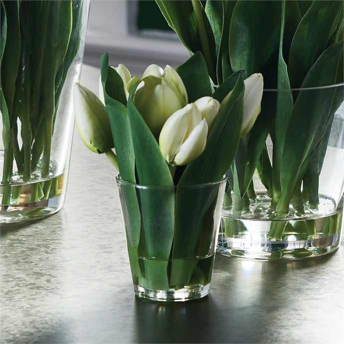 NH - Dutch Tulip in Vase | 7.5