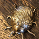 BD - Beetle