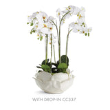 NH - Phalaenopsis Bowl Drop-In | 31.5"