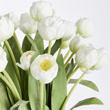 NH - Peony Tulip Bundle Drop-In | 23.5"