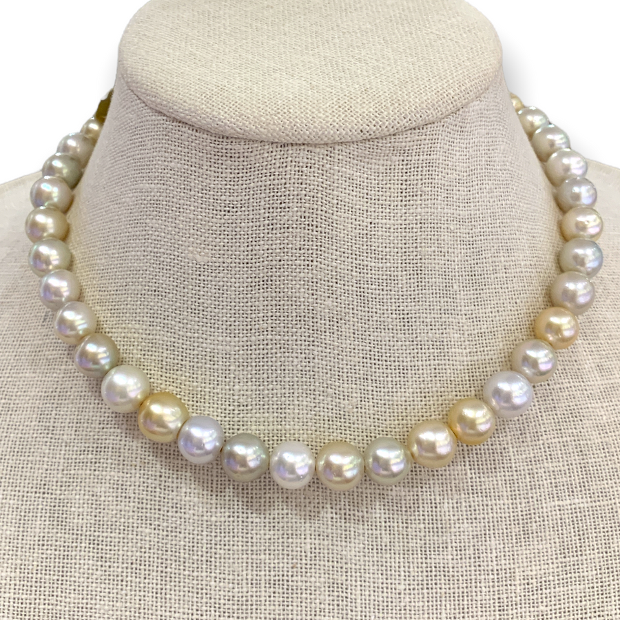 Choker | South Sea Peals on Leather | 16.5”